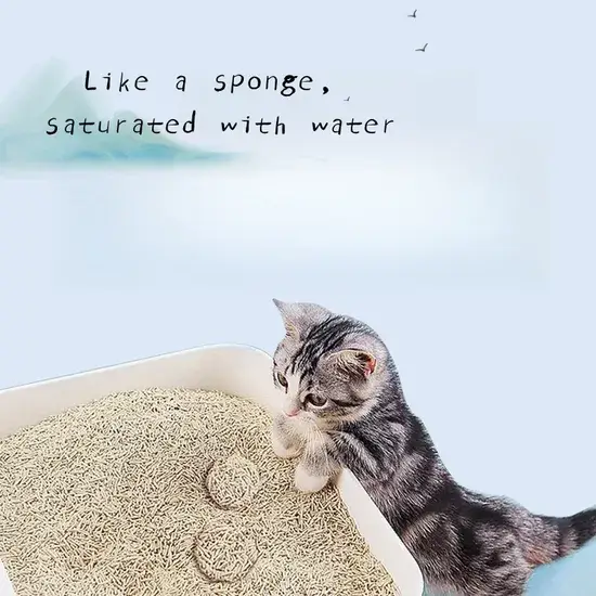 Nhà máy kiểm soát mùi mạnh, thân thiện với môi trường, không bụi, cát vệ sinh cho mèo từ bentonite gốc/ oải hương tự nhiên hình ảnh 1-description