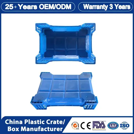 Nông trại nuôi ấu trùng ruồi lính đen trong khay nhựa cho giòi, giun đỏ, giun đại mạch, tằm, sâu sừng, sâu sáp hình ảnh 1-description