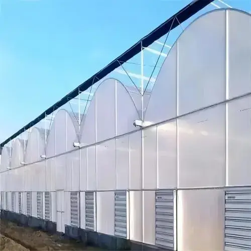 Nhà kính đa gian Yutuo: Lựa chọn hàng đầu cho việc trồng rau hình ảnh 1-description