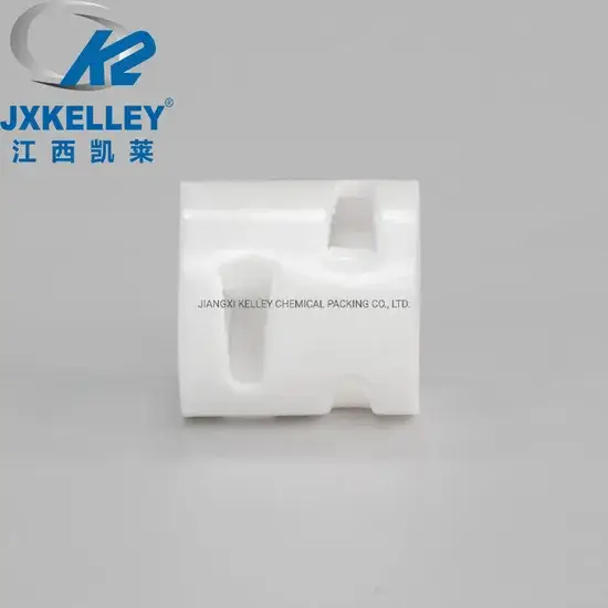 Vòng Pall PTFE đóng gói ngẫu nhiên với vật liệu nhựa chất lượng cao hình ảnh 1-description